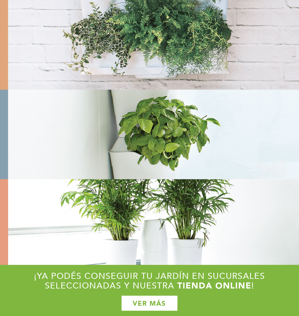 jardines verticales arredo